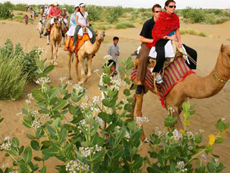 Camel ride Jodhpur