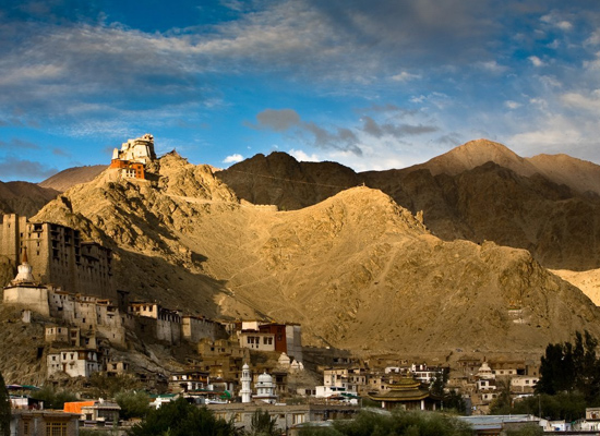 Alichi Leh Ladakh