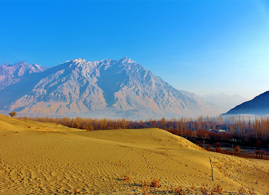 Nubra Valley Leh Ladakh