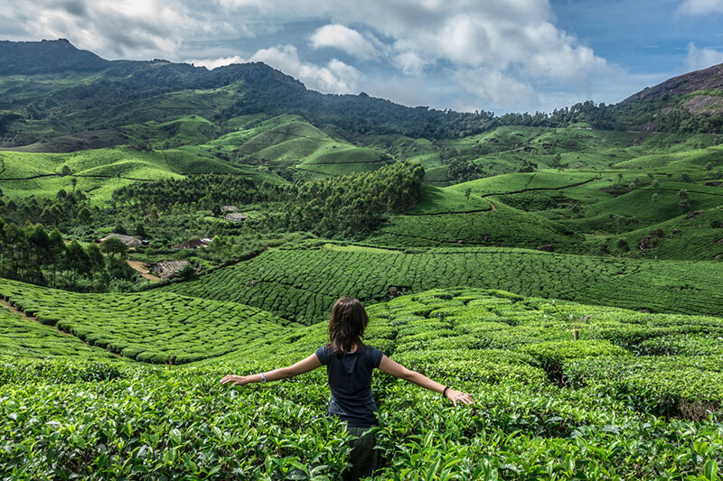 Echo Point, Munnar
