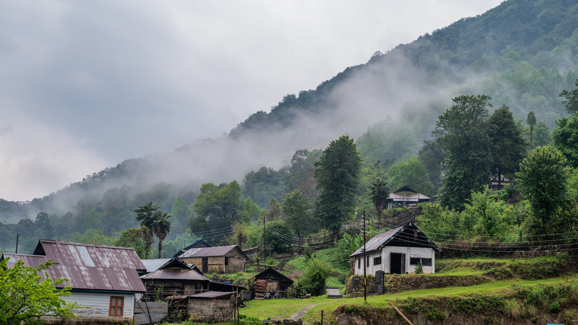 Dzukou Valley Trek